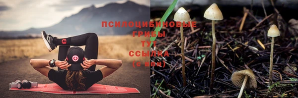 скорость mdpv Вязьма