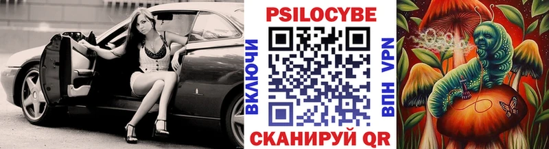 Купить  Каменногорск  Галлюциногенные грибы Magic Shrooms 